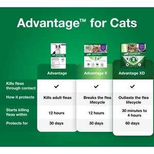 Advantage Topical Flea Prevention for Large Cats, 9 lbs+, 2-Monthly Treatments