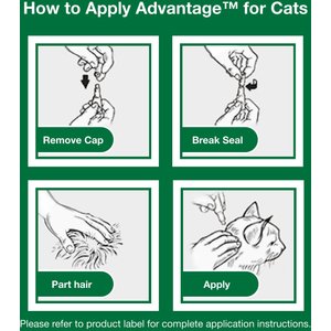 Advantage Topical Flea Prevention for Large Cats, 9 lbs+, 2-Monthly Treatments
