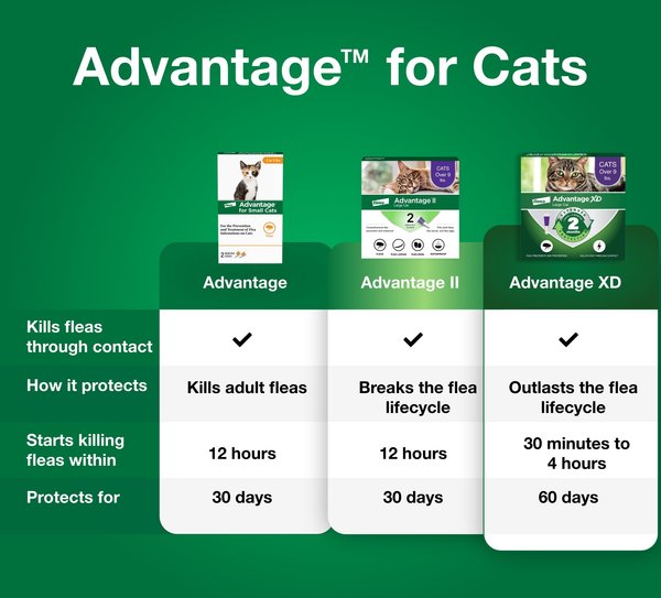 ADVANTAGE Topical Flea Prevention for Small Cats, 2-9 lbs, 2-Monthly ...