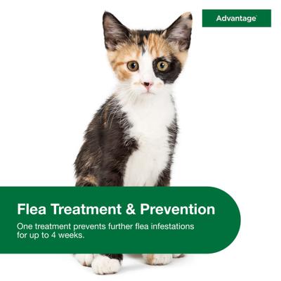 Show full view: Advantage Topical Flea Prevention for Small Cats, 2-9 lbs, 2-Monthly Treatments slide 4 of 10