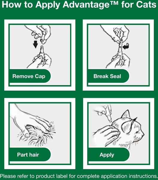 ADVANTAGE Topical Flea Prevention for Small Cats, 2-9 lbs, 2-Monthly ...