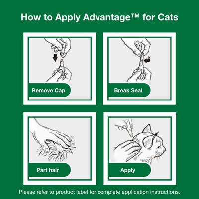 Show full view: Advantage Topical Flea Prevention for Small Cats, 2-9 lbs, 2-Monthly Treatments slide 9 of 10