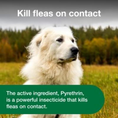 Show full view: Advantage Topical & Indoor Flea & Tick Spray for Dogs, 8-fl oz bottle slide 7 of 10