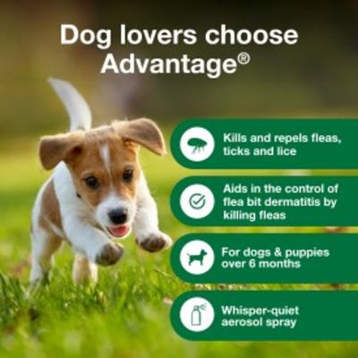 Show full view: Advantage Topical & Indoor Flea & Tick Spray for Dogs, 8-fl oz bottle slide 5 of 10