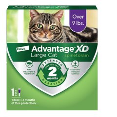 Advantage XD Large Cat Treatment, 1 count