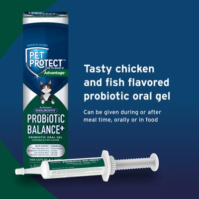 Show full view: Advantage XD Large Cat Treatment, 2 count + Pet Protect Endurosyn Probiotic Balance + Chicken & Fish Flavored Oral Gel for Cats, 15-g syringe slide 9 of 10