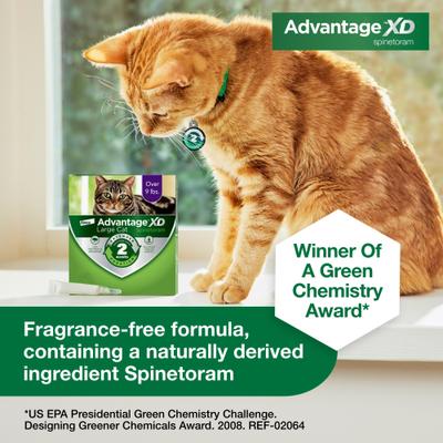 Show full view: Advantage XD Large Cat Treatment, 2 count + Pet Protect Endurosyn Probiotic Balance + Chicken & Fish Flavored Oral Gel for Cats, 15-g syringe slide 4 of 10
