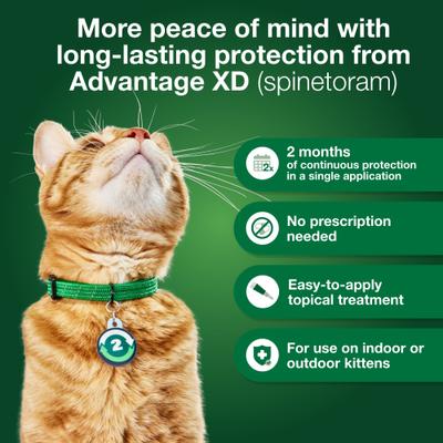 Show full view: Advantage XD Large Cat Treatment, 2 count + Pet Protect Endurosyn Probiotic Balance + Chicken & Fish Flavored Oral Gel for Cats, 15-g syringe slide 3 of 10