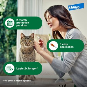 Advantage XD Large Cat Treatment, 2 count