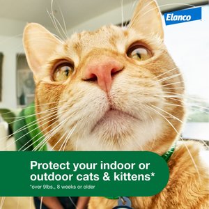 Advantage XD Large Cat Treatment, 2 count
