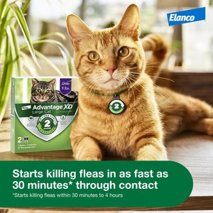 Advantage XD Large Cat Treatment, 2 count