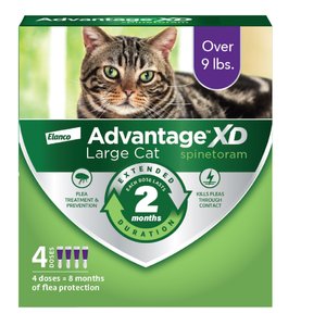Advantage XD Large Cat Treatment, 4 count