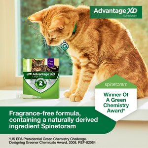 Advantage XD Large Cat Treatment, 4 count