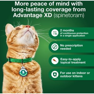 Advantage XD Large Cat Treatment, 4 count