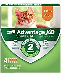 Advantage XD Small Cat Treatment, 4 count