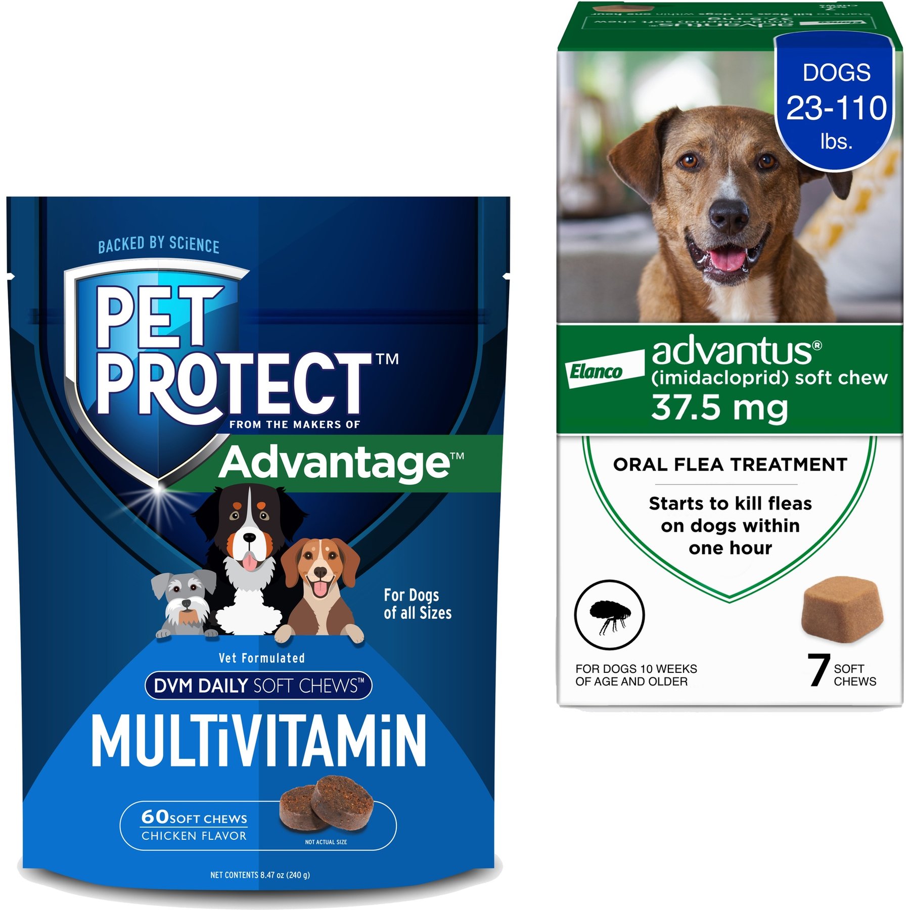 Advantus Flea Oral Treatment for Dogs, 23-110 lbs, 7 Soft Chews + Pet Protect DVM Daily Multivitamin Chicken Flavored Soft Chew Supplement for Dogs, 60 count