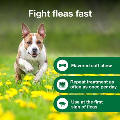 Show full view: Advantus Flea Oral Treatment for Dogs, 4-22 lbs, 30 Soft Chews slide 4 of 9