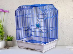 A&E Cage Company 17-in Ornate Top Bird Cage, Small, Black