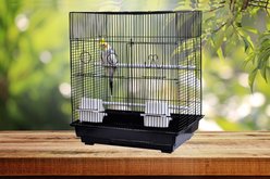 A&E Cage Company 18-in Flat Top Bird Cage, Black, Small