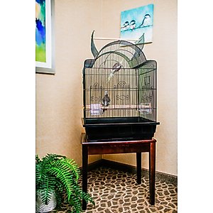 A&E Cage Company 32-in Victorian Open Top Bird Cage, Black, Medium