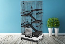 A&E Cage Company 60-in Extra-Large Deluxe 6-Tier Small Animal Cage, Black