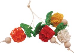 A&E Cage Company Bunch of Fruits Loofah Small Pet Toy