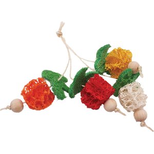 A&E Cage Company Bunch of Fruits Loofah Small Pet Toy