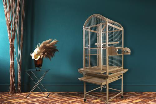 Show full view: A&E Cage Company Dome Top Bird Cage, Black, X-Small slide 3 of 6