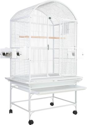 Beautiful view of Handsome Bird Cage With Corner Perches