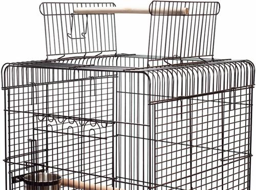 Show full view: A&E Cage Company Economy Play Top Bird Cage, Black slide 5 of 9