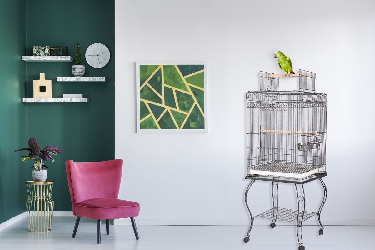Economy Open Roof Dometop BIrd Cage - by Economy Open Roof Dometop BIrd Cage - by