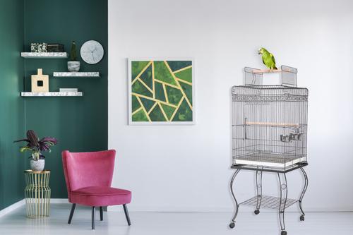 Show full view: A&E Cage Company Economy Play Top Bird Cage, White slide 3 of 4