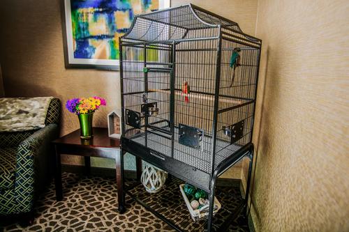 Show full view: A&E Cage Company Elegant Style Flight Bird Cage, Platinum, Medium slide 3 of 8