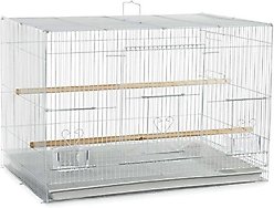 A&E Cage Company Flight Bird Cage, White, 24 x 16 x 16-in