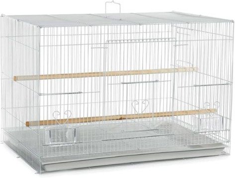 Show full view: A&E Cage Company Flight Bird Cage, White, 24 x 16 x 16-in slide 1 of 1