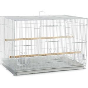A&E Cage Company Flight Bird Cage, White, 24 x 16 x 16-in