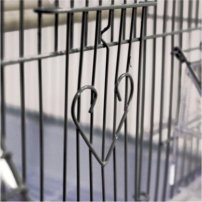 Show full view: A&E Cage Company House Top Bird Cage, Black slide 3 of 4