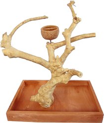 A&E Cage Company Java Table Top Bird Stand, Tan, Small