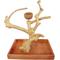 Show in main carousel: A&E Cage Company Java Table Top Bird Stand, Tan, Small slide 1 of 3