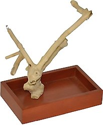 A&E Cage Company Java Wood Table Top Play Bird Stand, Tan, X-Small