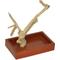 Show in main carousel: A&E Cage Company Java Wood Table Top Play Bird Stand, Tan, X-Small slide 1 of 3