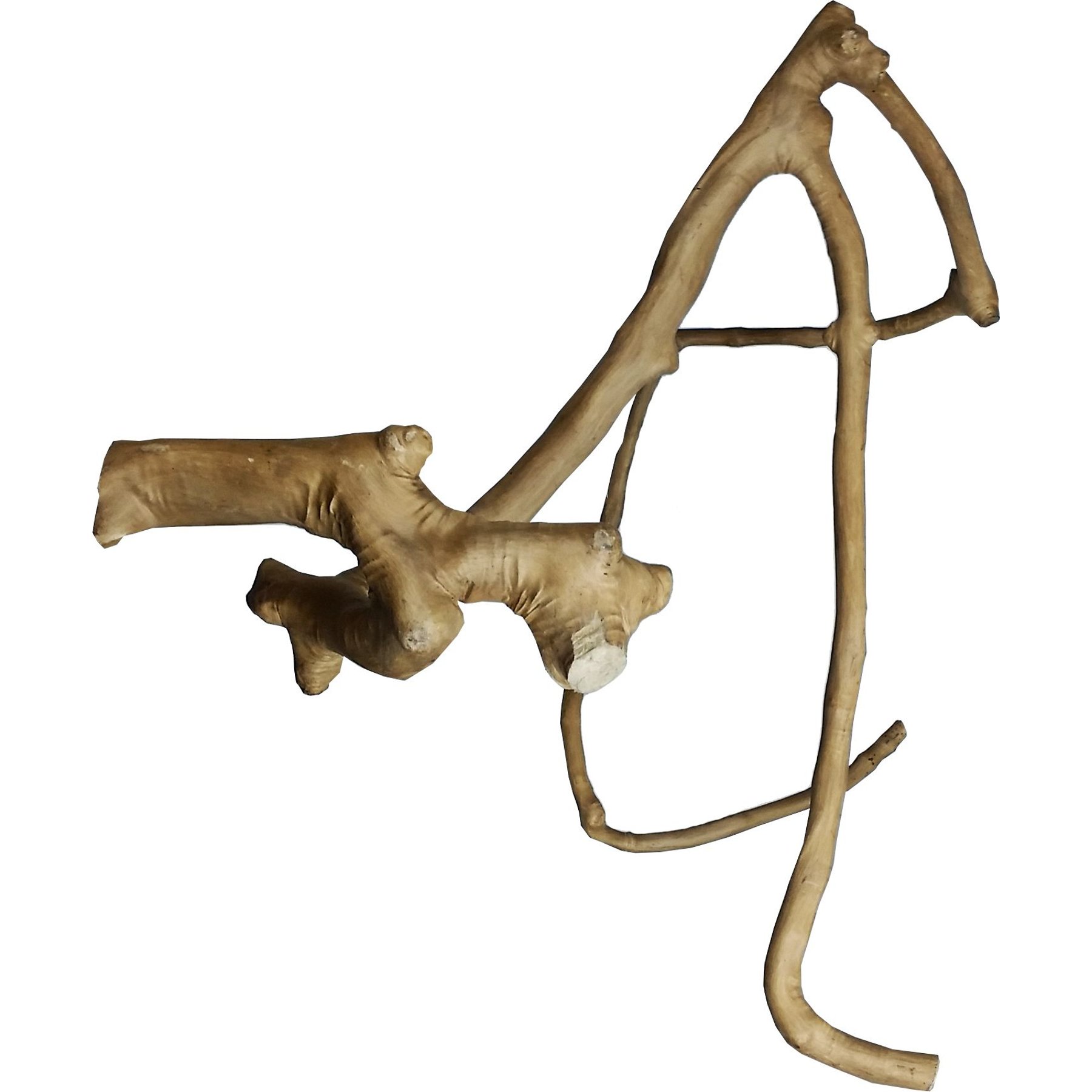 A&E Cage Company Multi-Branch Bird Perch, Brown, Large