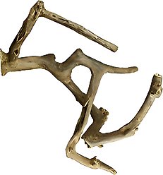 A&E Cage Company Multi-Branch Bird Perch, Brown, Medium