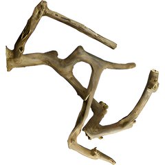 A&E Cage Company Multi-Branch Bird Perch, Brown, Medium