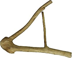 A&E Cage Company Multi-Branch Bird Perch, Brown, Small