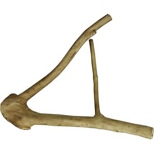 A&E Cage Company Multi-Branch Bird Perch, Brown, Small