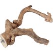 Show in main carousel: A&E Cage Company Multi-Branch Bird Perch, Brown, X-Large slide 1 of 2