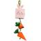 Show in main carousel: A&E Cage Company Nibbles Bunny/Carrot Box Small Pet Toy slide 1 of 2