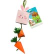 Show in main carousel: A&E Cage Company Nibbles Bunny/Carrot Box Small Pet Toy slide 2 of 2