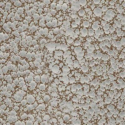 Show full view: A&E Cage Company Open Top Dome Bird Cage & Removable Stand, Black slide 4 of 10